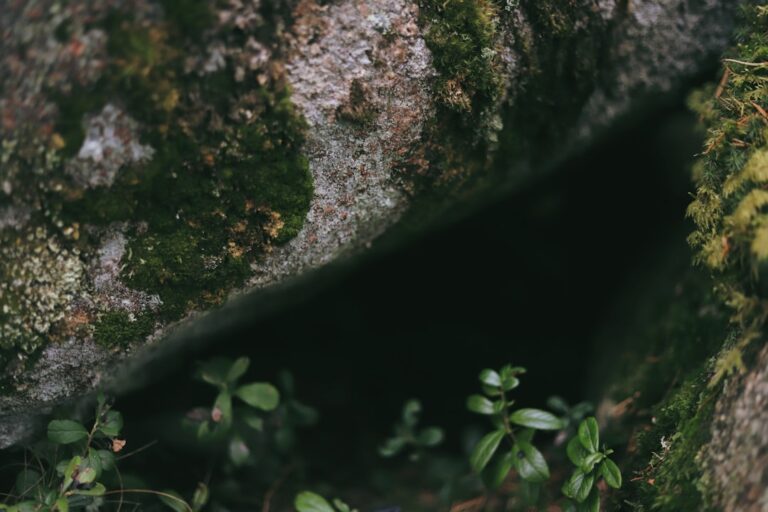 Traveling Off the Beaten Path: Hidden Gems in Nature