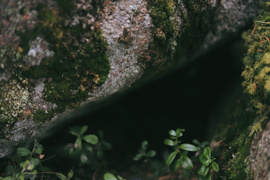 blog_4